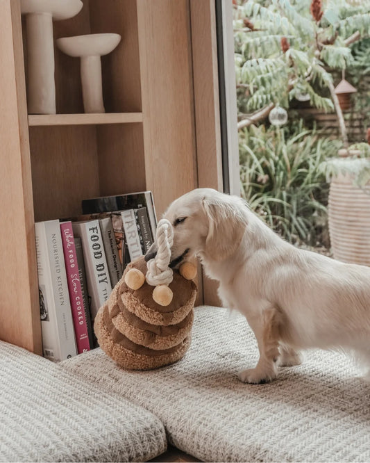 10 Best Modern Dog Accessories for Stylish Homes