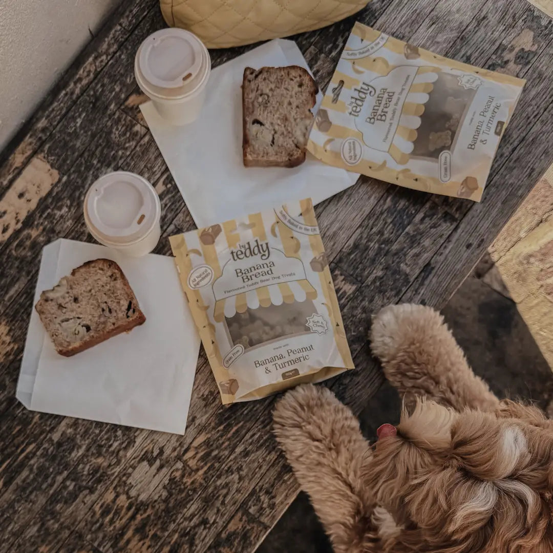 Why Treating Your Pet with Natural Snacks is the Best Choice?