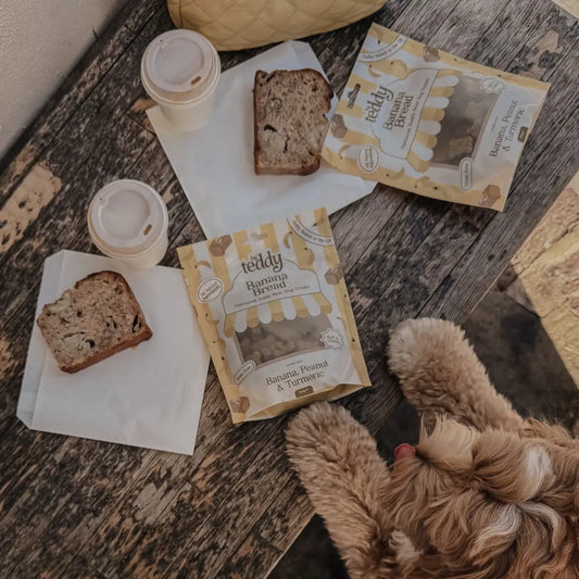 Why Treating Your Pet with Natural Snacks is the Best Choice?